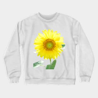 Sunflower Crewneck Sweatshirt